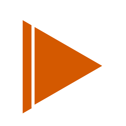 VSL Player Logo